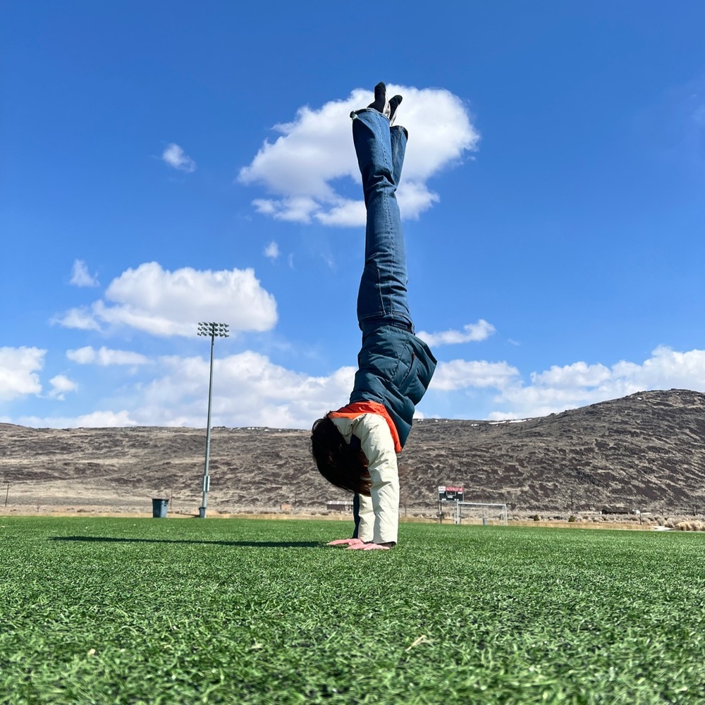 Meet your Posher, Carmen.